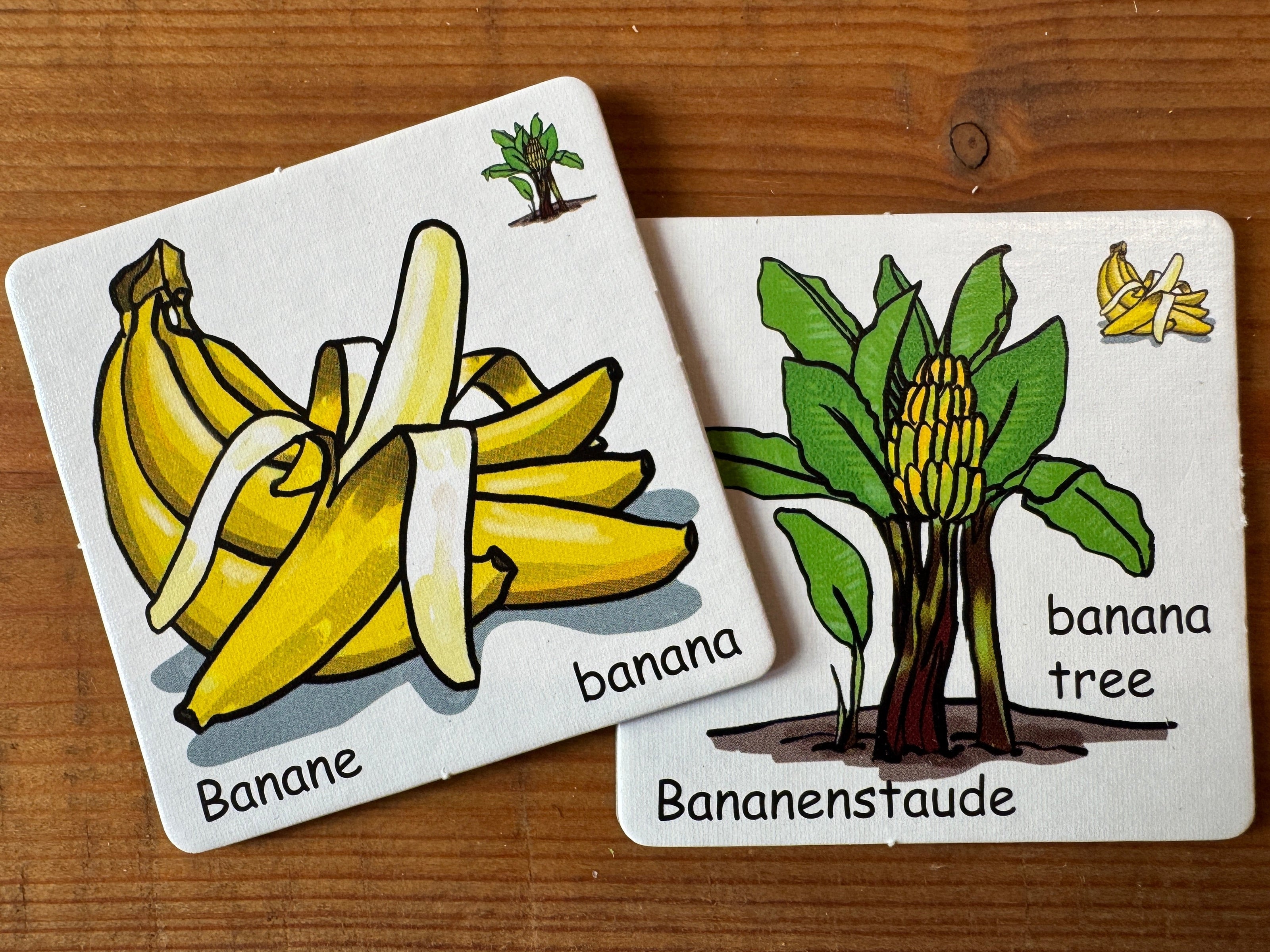 Memo-Spiel Obst & Gemüse - Lernspiel ab 3 Jahren - auf Deutsch & Englisch - 72 Karten