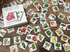 Lernspiel Obst & Gemüse – Memo-Spiel für Kinder ab 3 Jahren | Deutsch & Englisch
